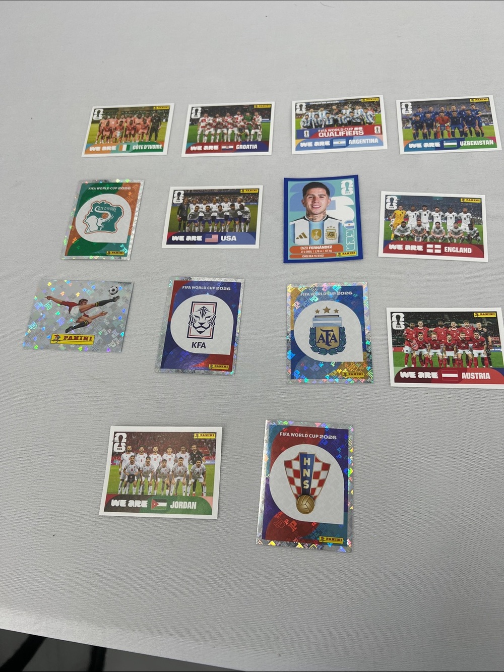 Panini World Cup Sticker Collection Argentina bundle 1